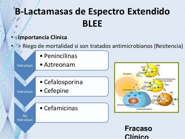 betalactamasas de espectro extendido